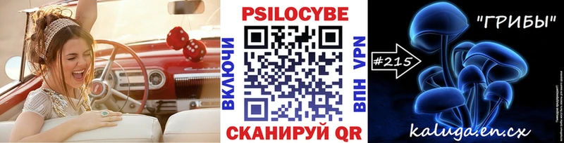 omg ONION  Называевск  Галлюциногенные грибы Psilocybine cubensis 